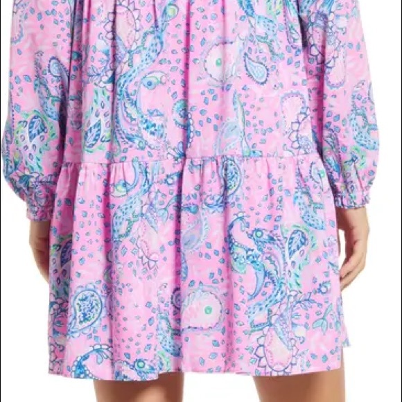 Lilly Pulitzer Winona Dress Strut Your Stuff - Picture 5 of 5